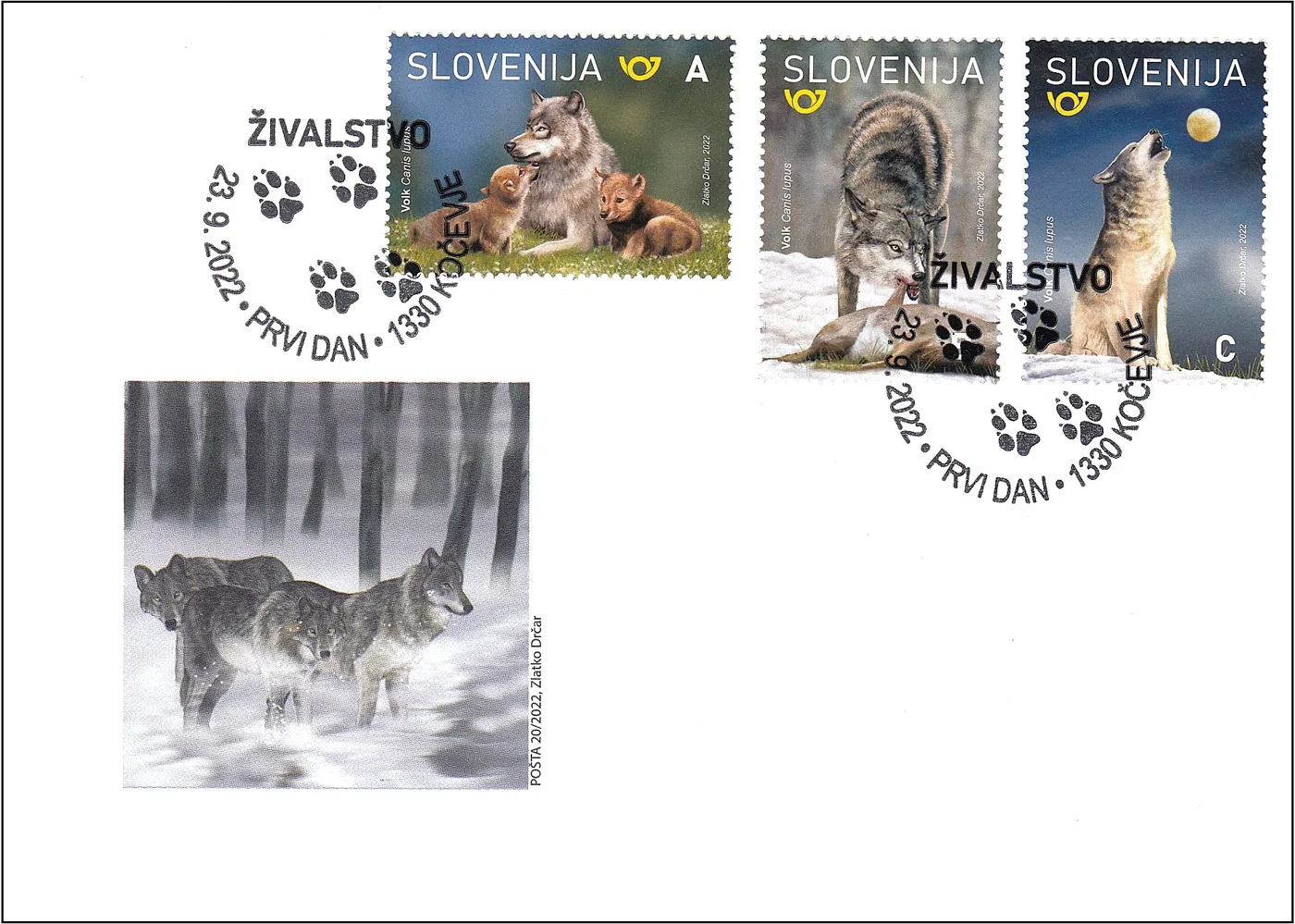 ŽIVALSTVO - VOLK 